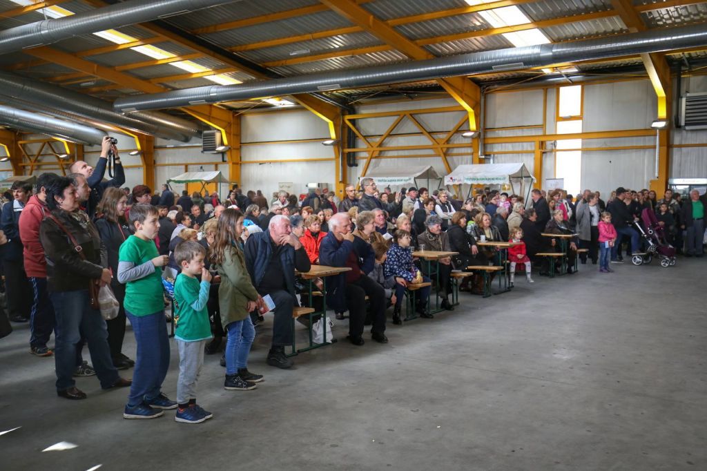 2351454210213458847802571515331