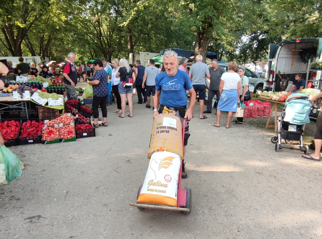 Image 5810809 (auto)