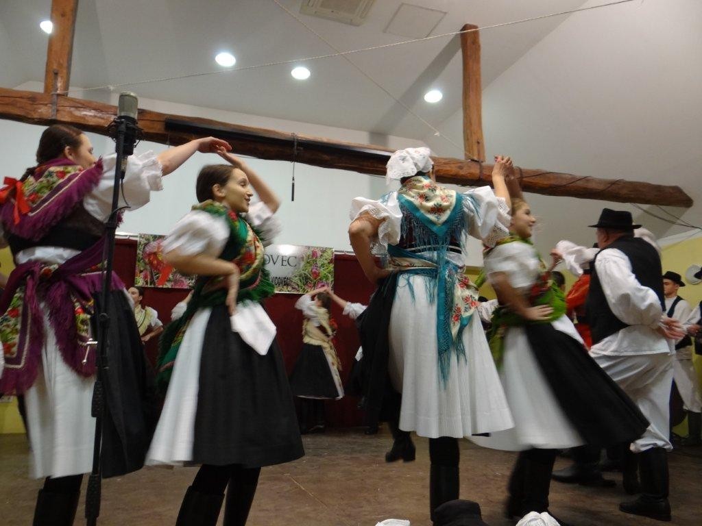 30. ROĐENDAN KUD-a DONJI VIDOVEC Publika je rekla: Da ih nema trebalo bi ih zmisliti!