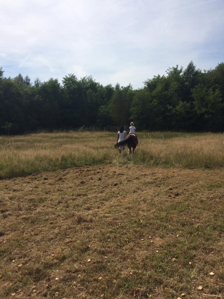 1421195233131903053627116028770