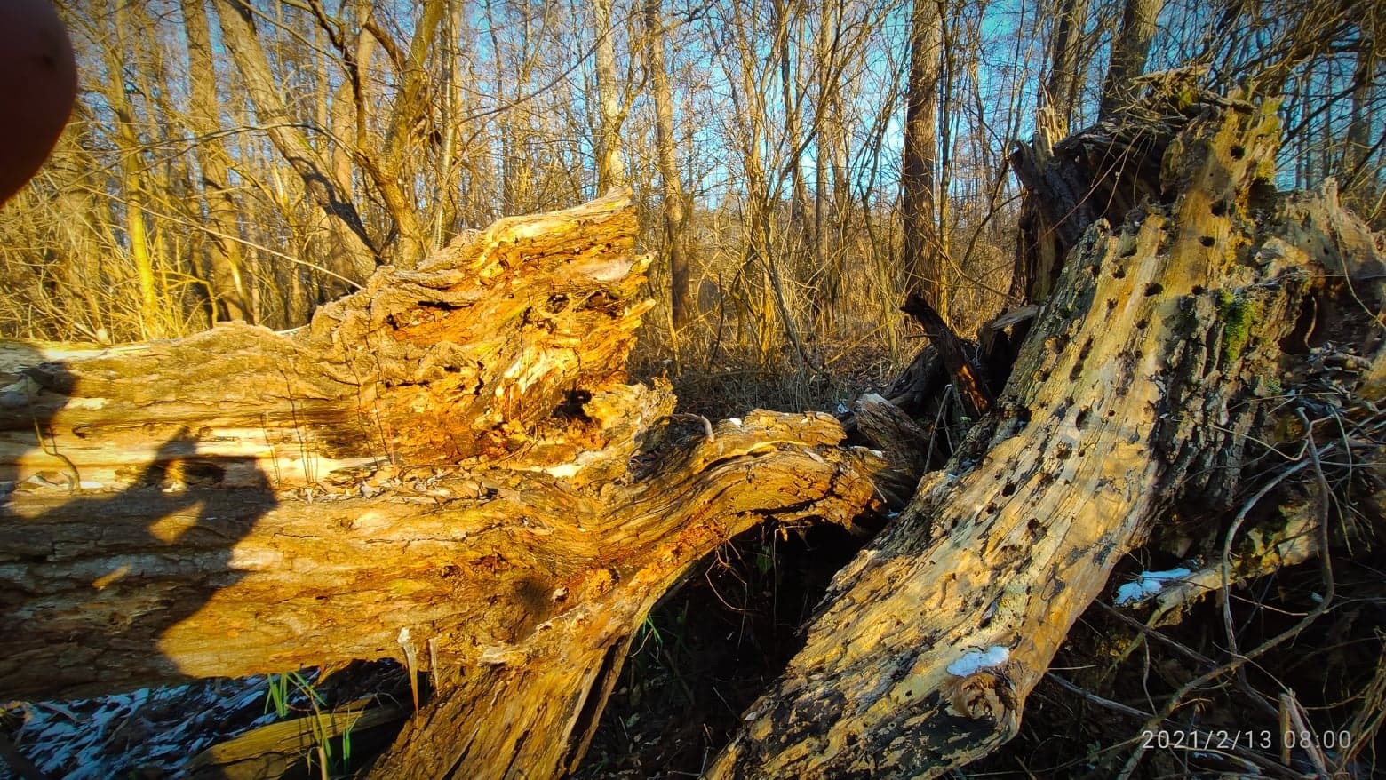 Zvonimir Habuš iz Kotoribe očarava fotografijama netaknute prirode