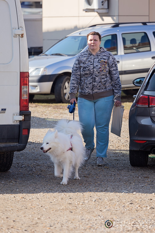 Klikom po Prelogu (16.2.2019.)