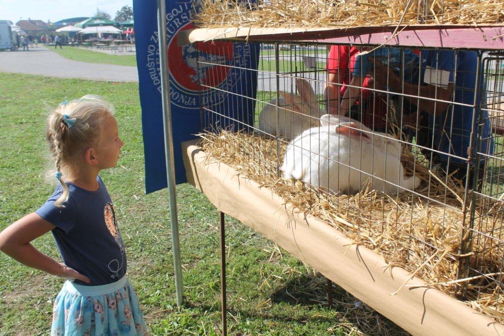 Završeni trodnevni Dani Kotoribe