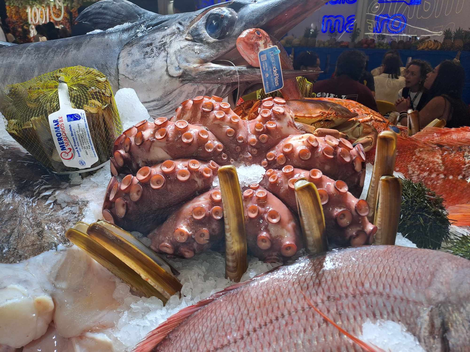 SREDNJA ŠKOLA PRELOG Stručna međunarodna edukacija nastavnika u Španjolskoj