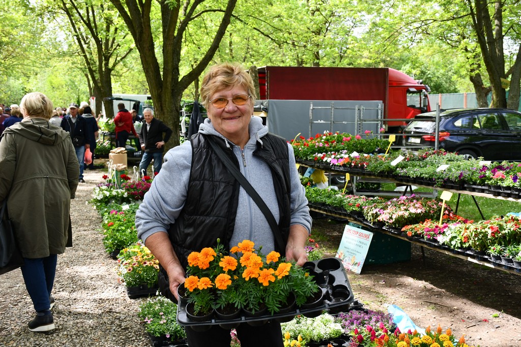 ČAKOVEČKI SAJAM SRIJEDOM Najveći interes i dalje vlada za presadnice