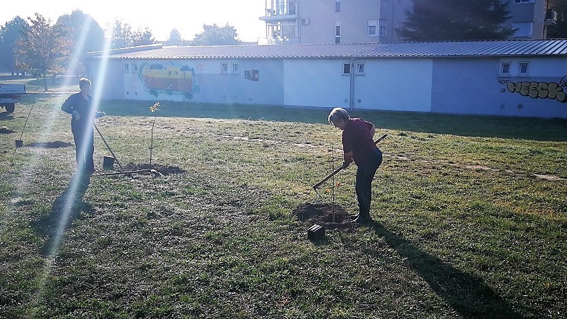 FOTO Velik broj građana subotnje prijepodne iskoristio za sadnju stabala u Čakovcu