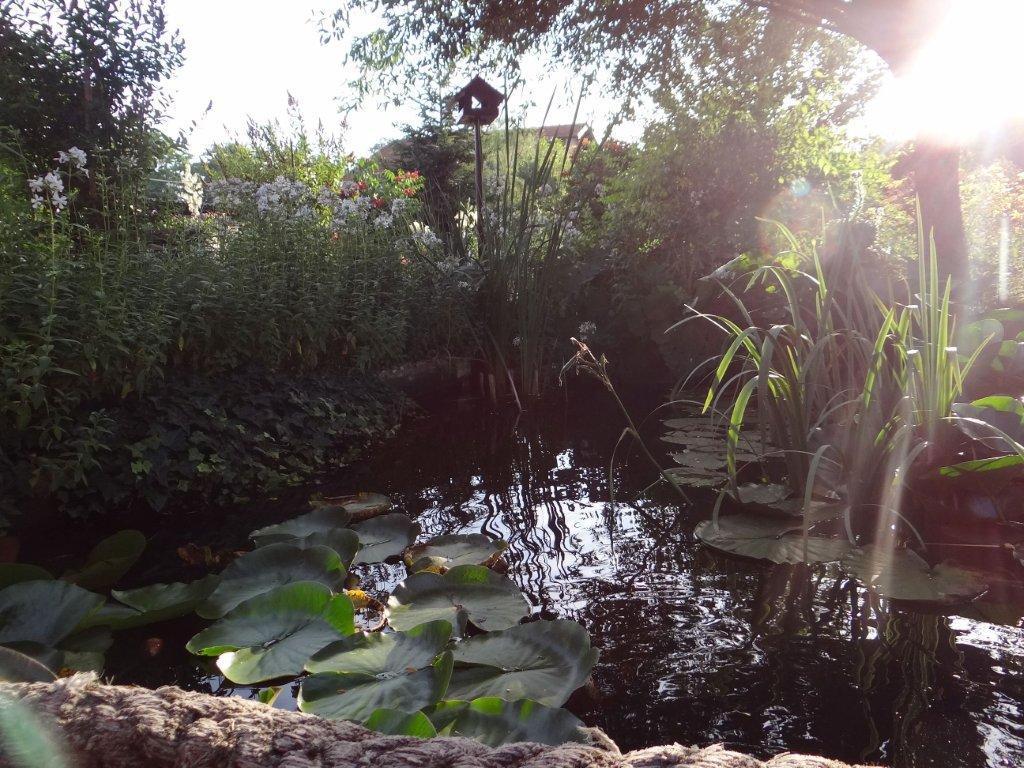 Biljno carstvo Vanje i Alena u Šenkovcu: Njihov vrt ‘Četiri godišnja doba’ mami poglede