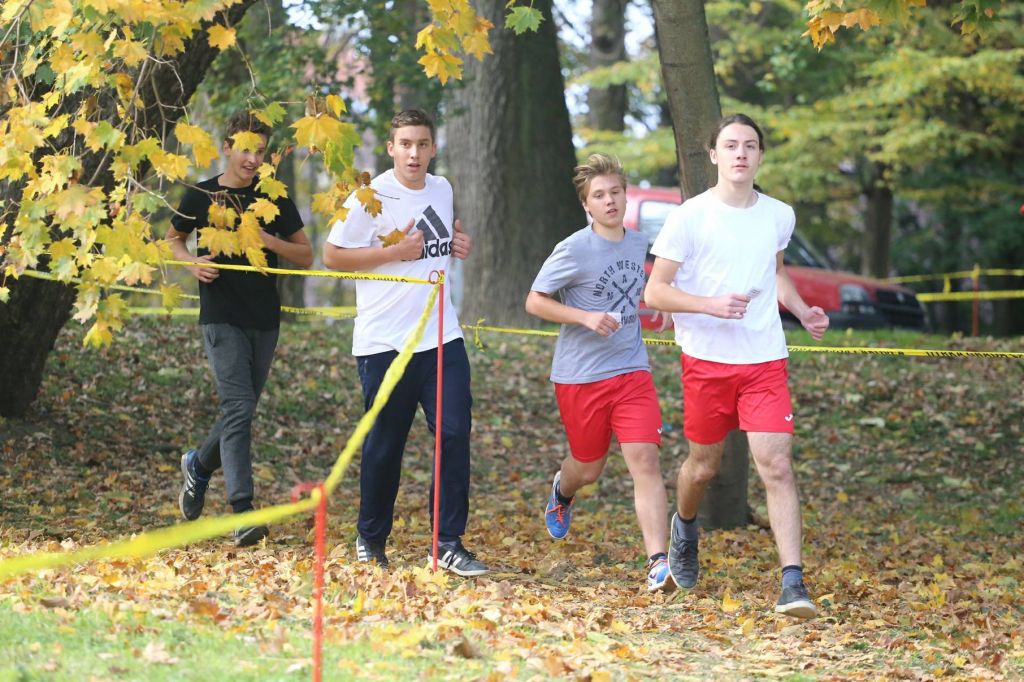 2271282810213285074778354174462