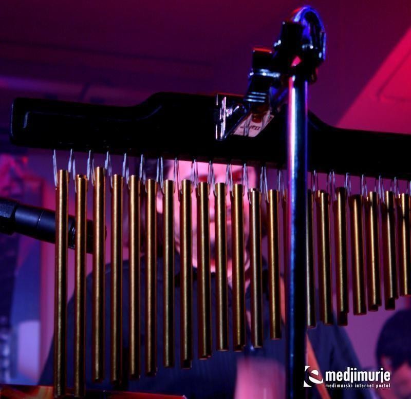 PALADIN 8.10.2011. PALADIN 8.10.2011.