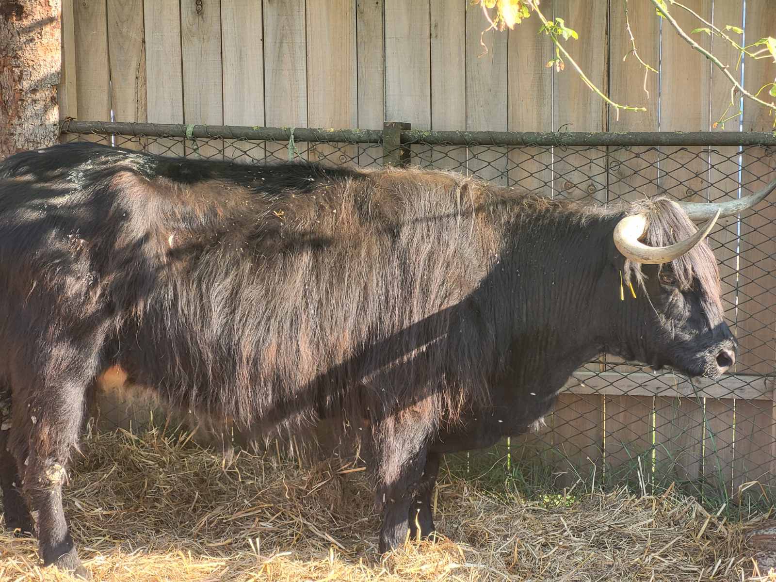 NA KOPRVNIČKIM BEDEMIMA Renesansni festival i ove godine privukao mnoštvo posjetitelja NA KOPRVNIČKIM BEDEMIMA Renesansni festival i ove godine privukao mnoštvo posjetitelja