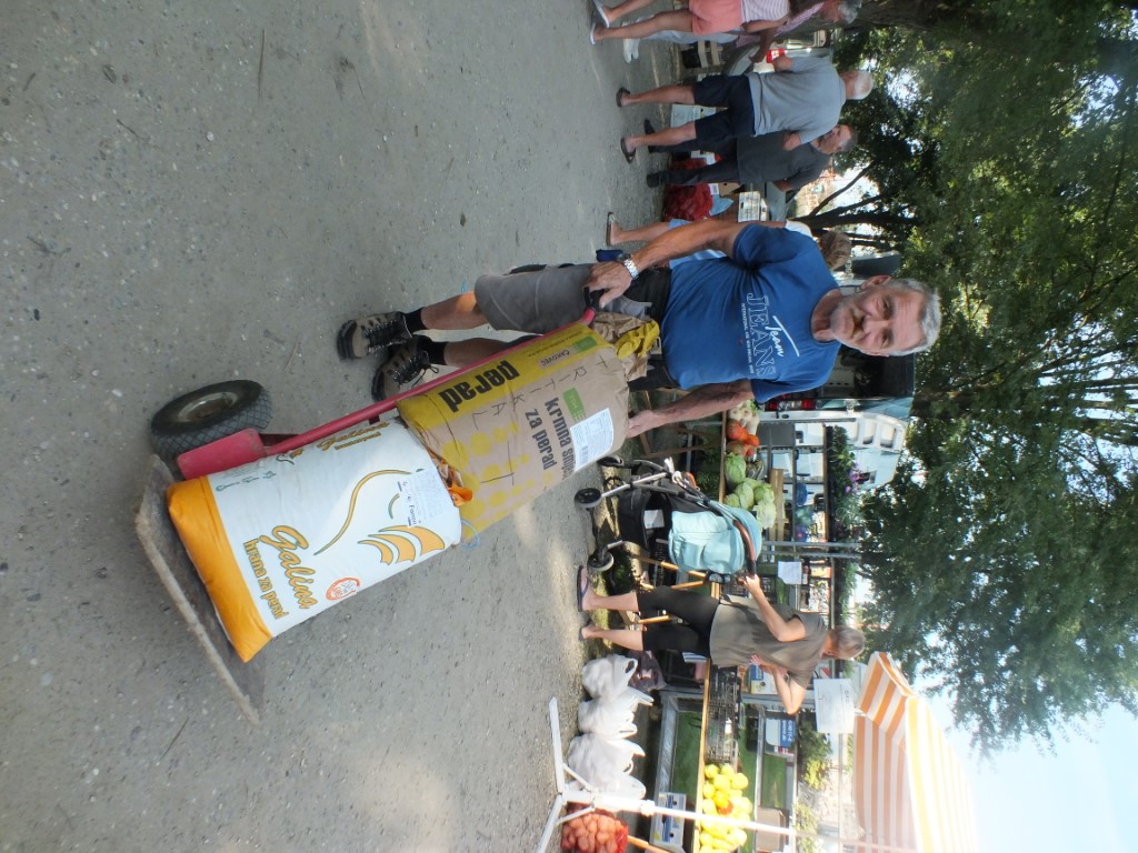 Image 5810927 (auto)