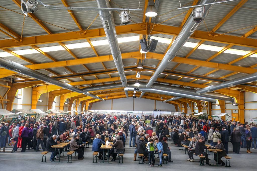 2351599910213458848082578718948