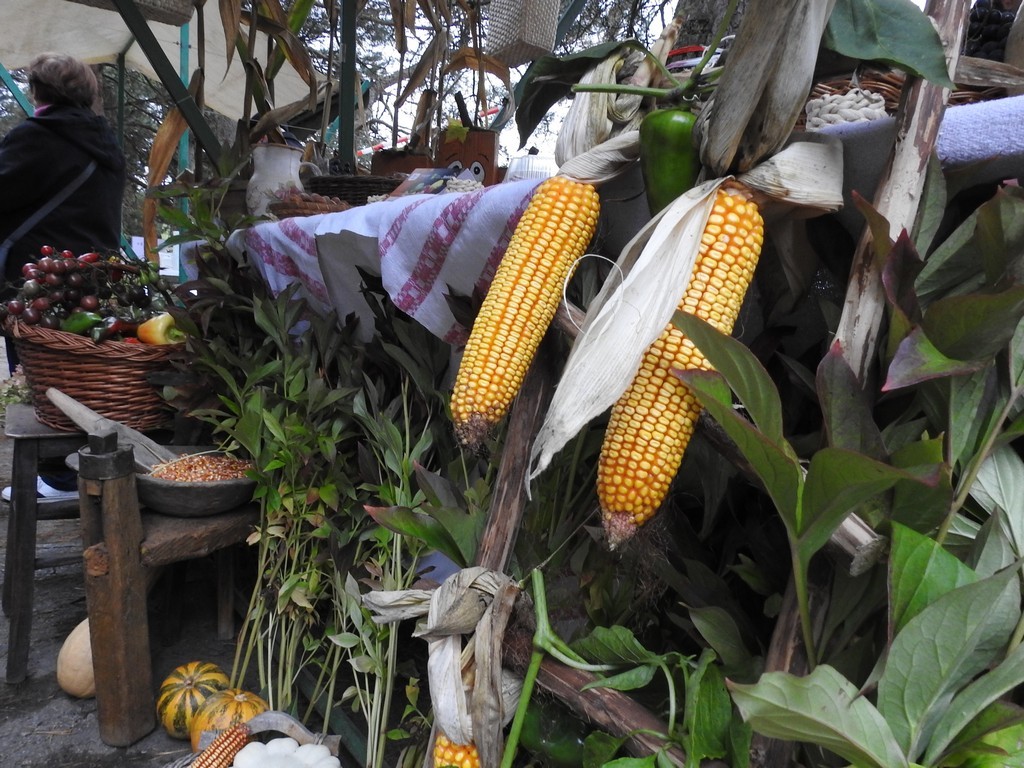 Dani zahvalnosti za plodove zemlje u Nedelišću
