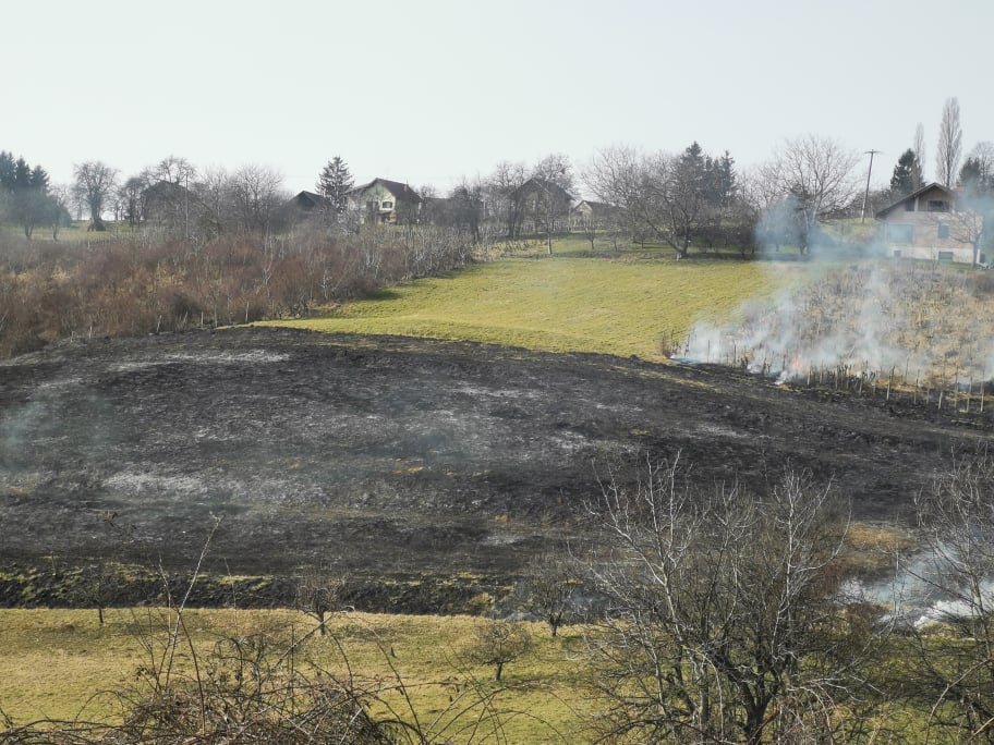Požar u Železnoj Gori