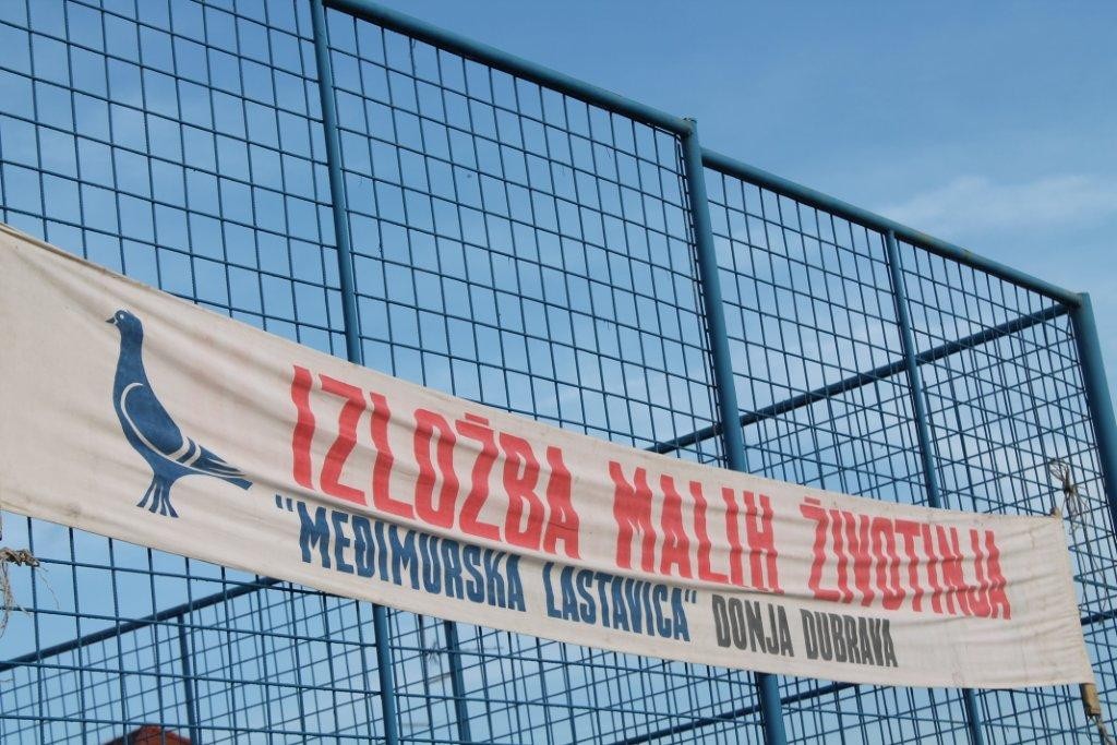 FOTO Održana izložba malih životinja u Kotoribi: Proglašeno čak 42 šampiona!