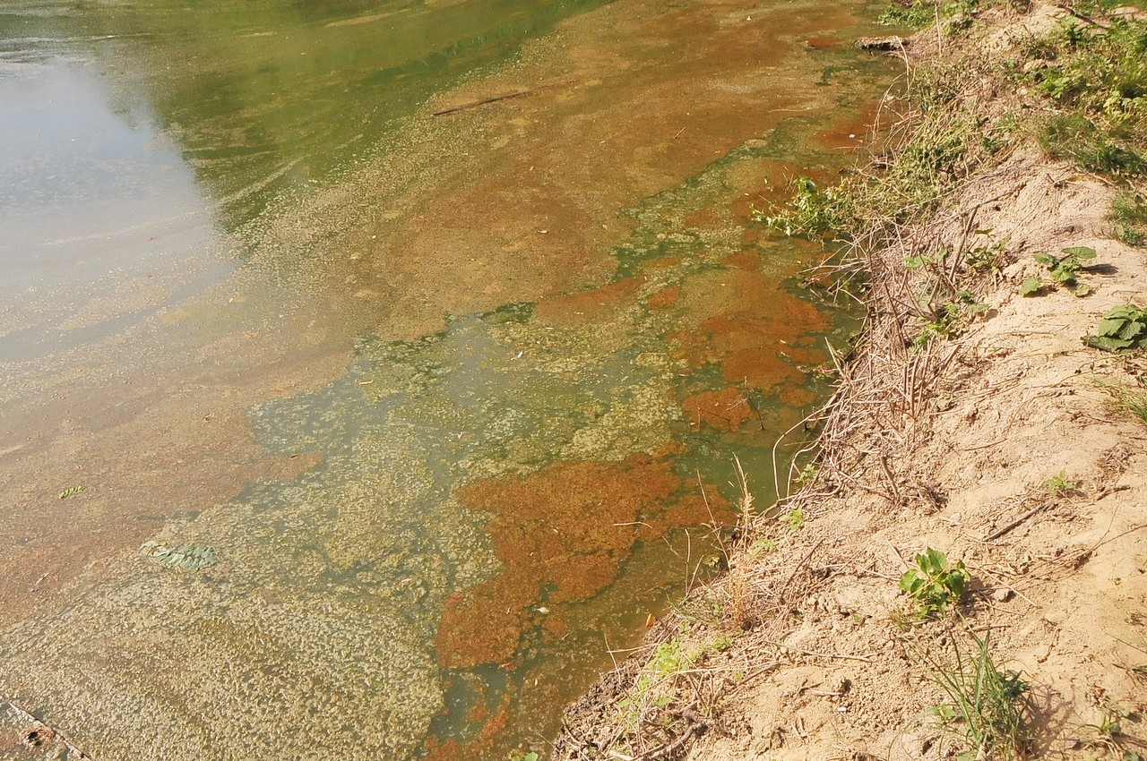 Mačkovčani ogorčeni crpljenjem vode iz Martice