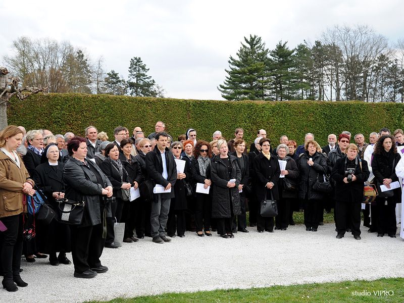 342714818dsc5500870591