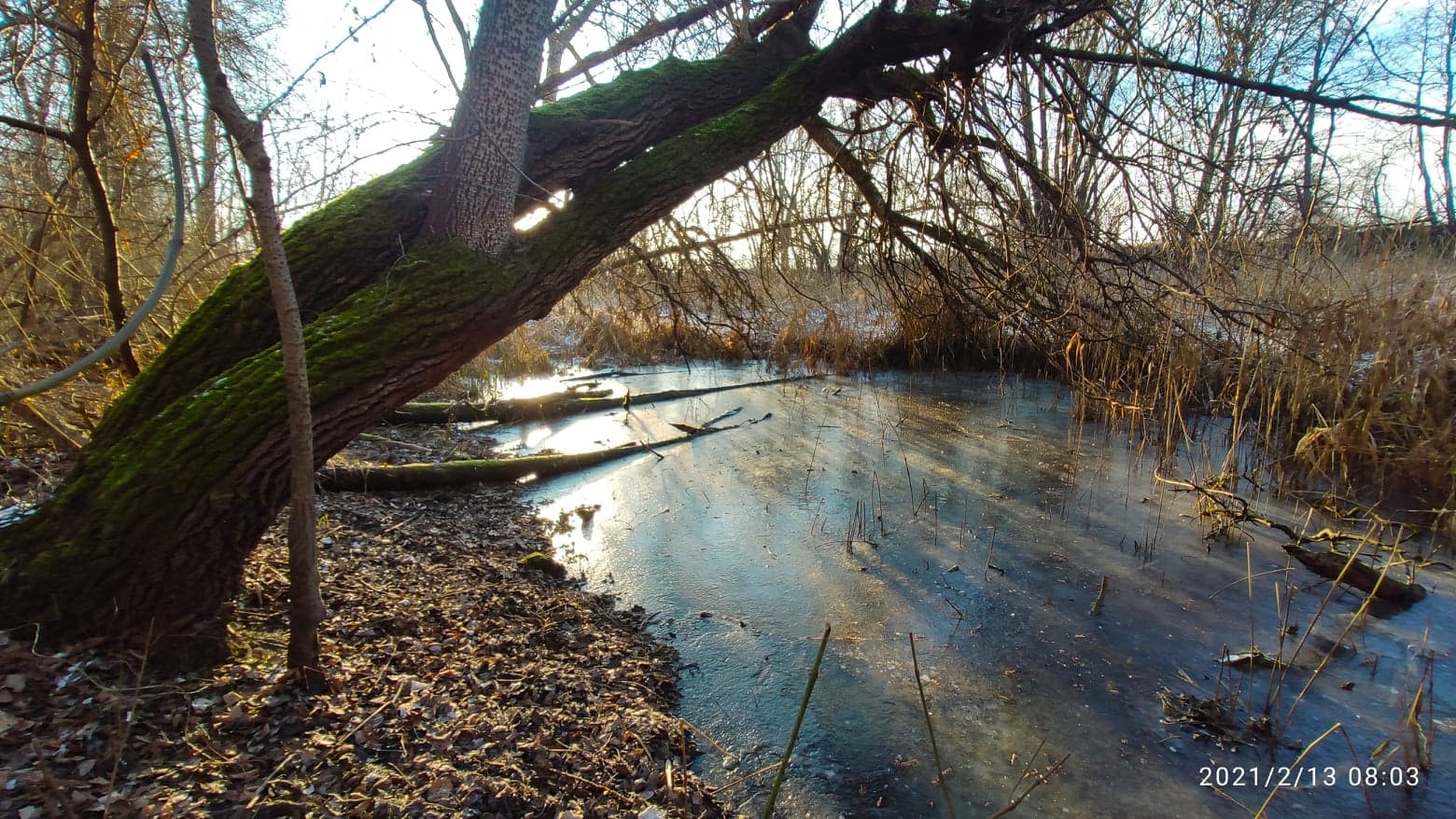 Zvonimir Habuš iz Kotoribe očarava fotografijama netaknute prirode