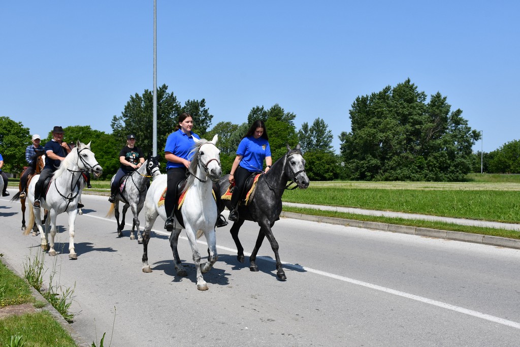 VIDEO I FOTO Međunarodno konjičko druženje okupilo brojne uzgajivače konja iz SZ Hrvatske te Slovenije i Austrije