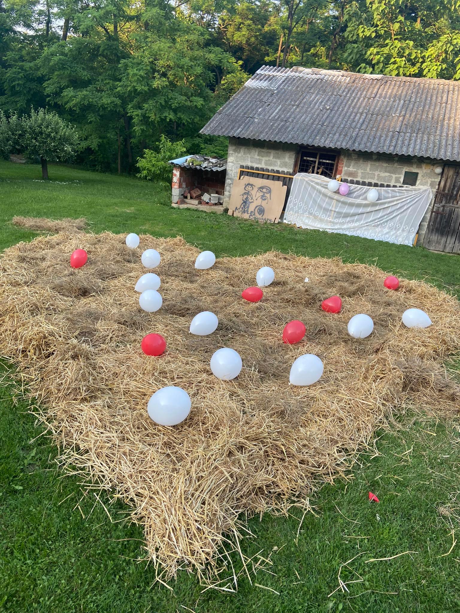 Žene se Samanta Pokrivač iz Lopatinca i Manuel Vlah iz Preloga!