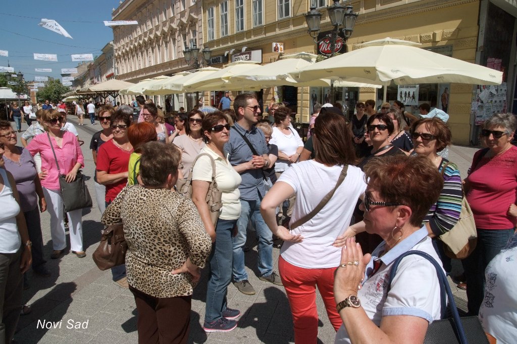 vojvodina062016e733356