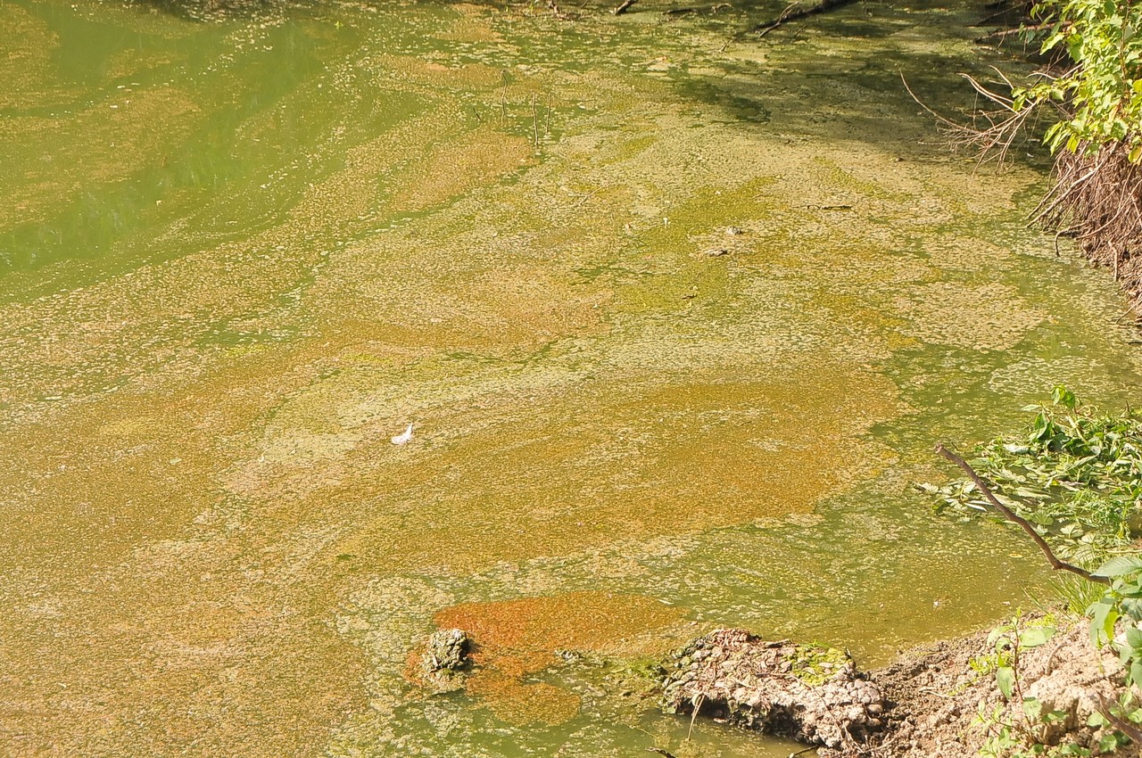 Mačkovčani ogorčeni crpljenjem vode iz Martice