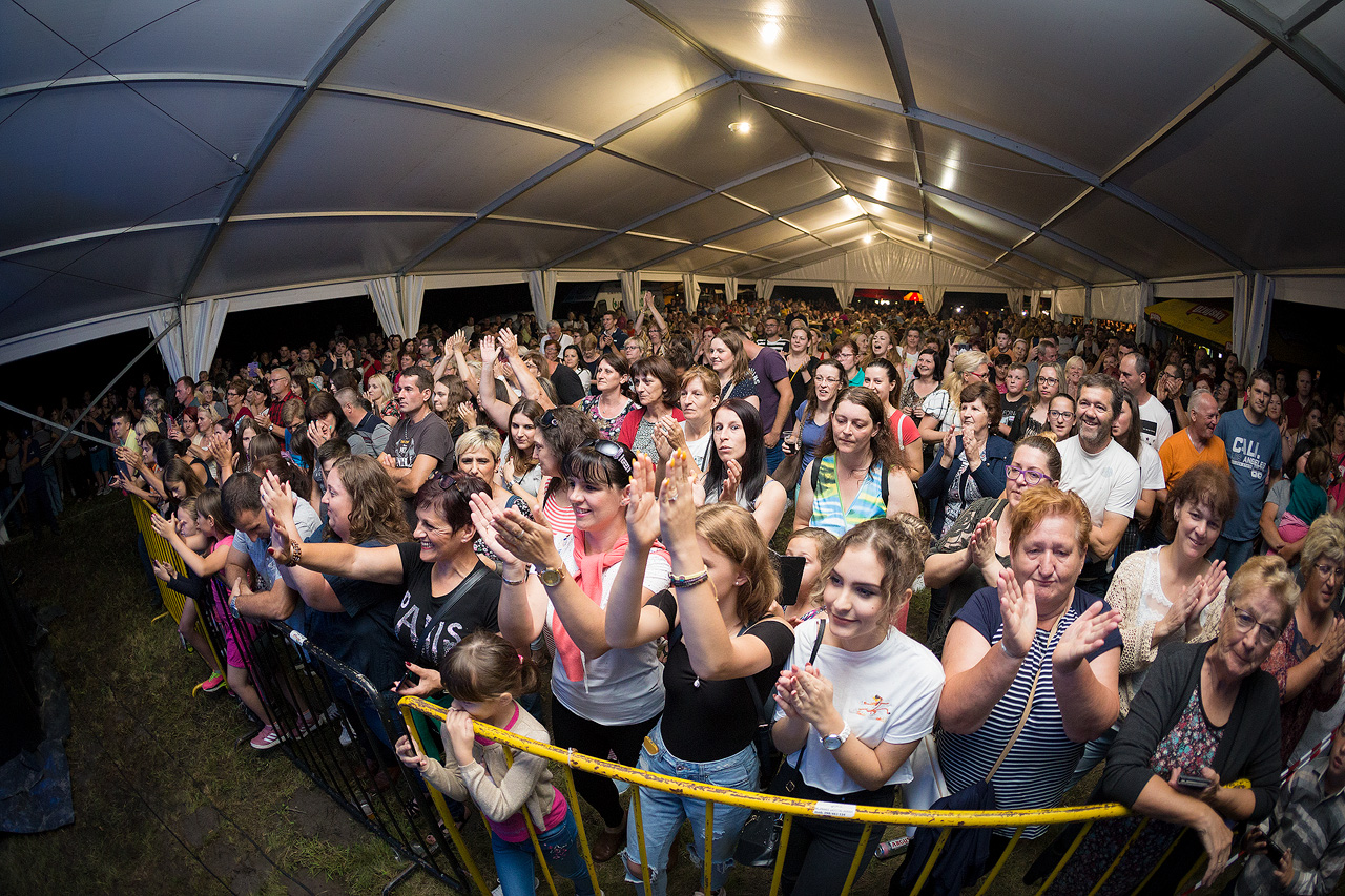 Koncert Nede Ukraden u Goričanu