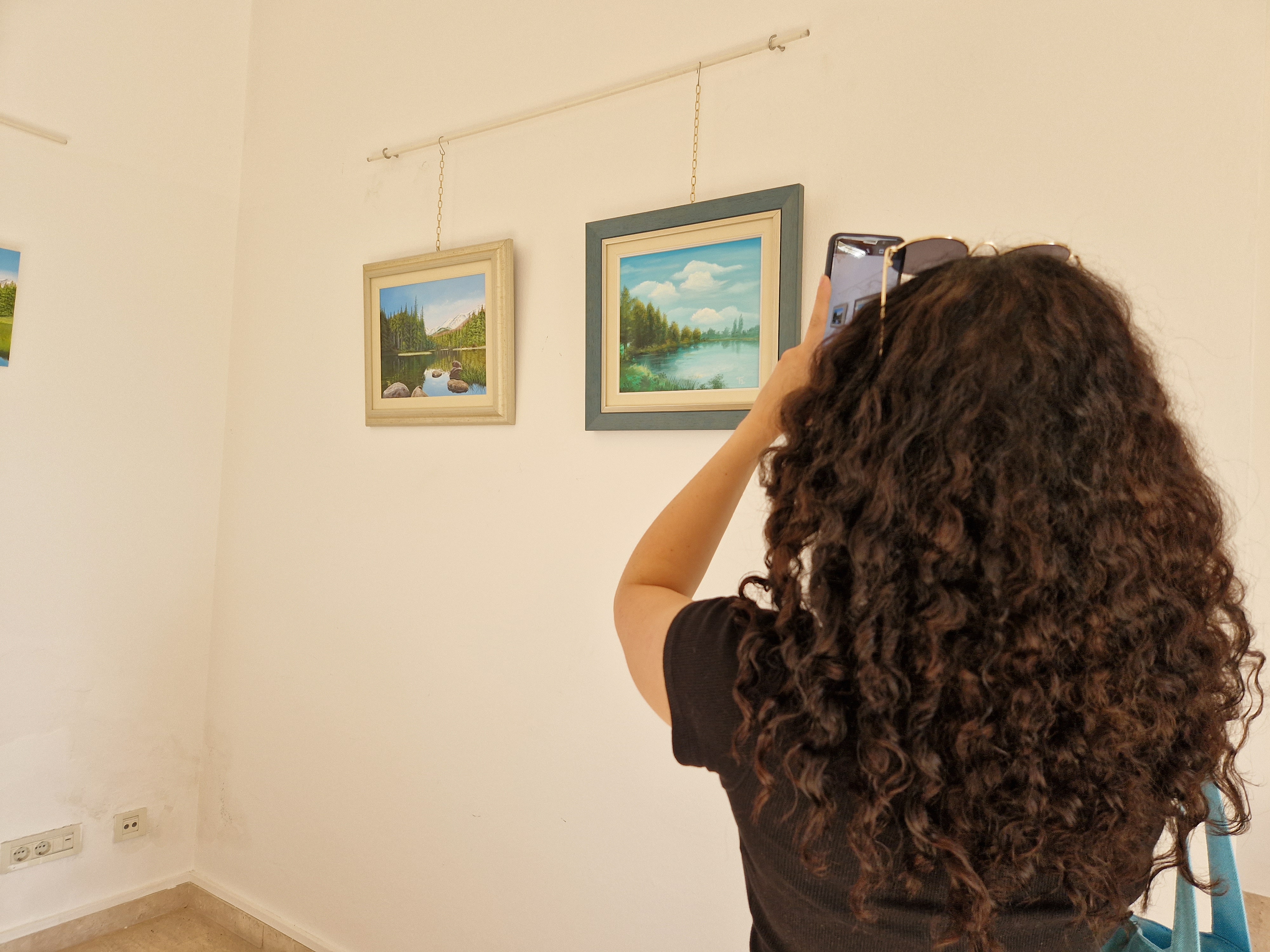 Svijet boja Branke Toplek