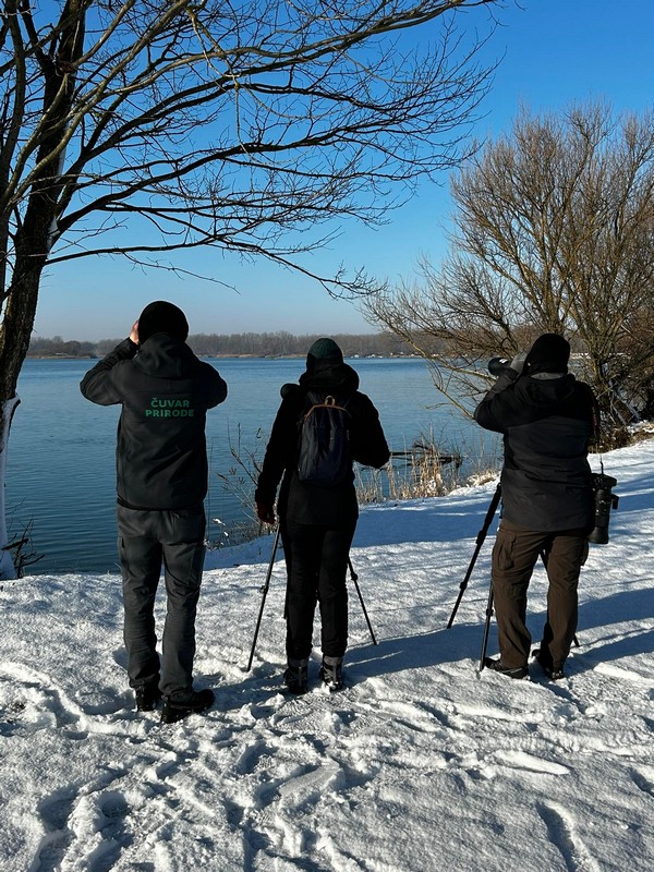 Ptičarenje Marina 2024