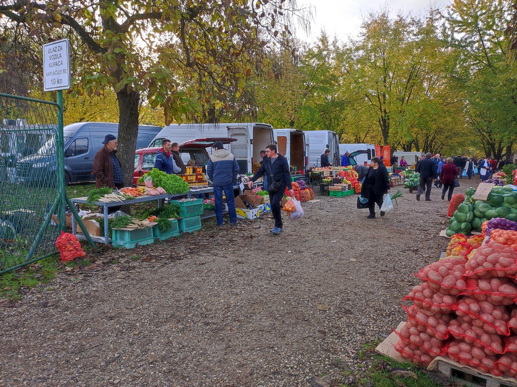 SAJAM SRIJEDOM Jeste li već probali meksički krastavac ili čajot?
