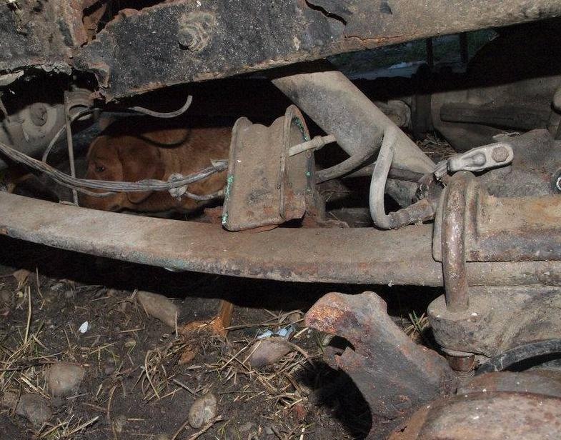 6addfe7f14a3d0912176aec468134f3