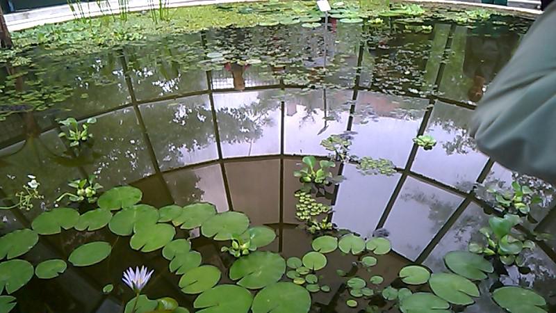 7a69fee1670c0d6031cd5967eb5c04e