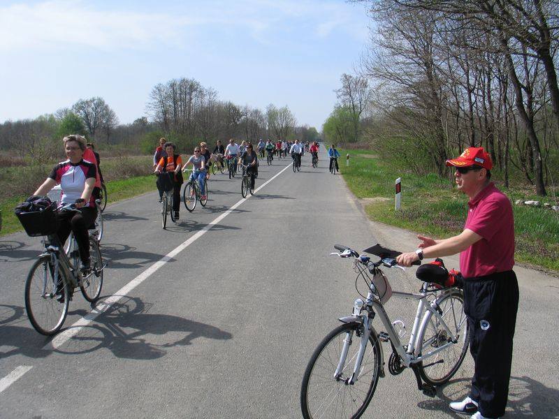 1293265710204634842830083541853