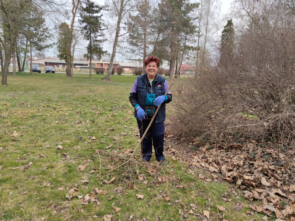 Belica, sadnja parka 2022