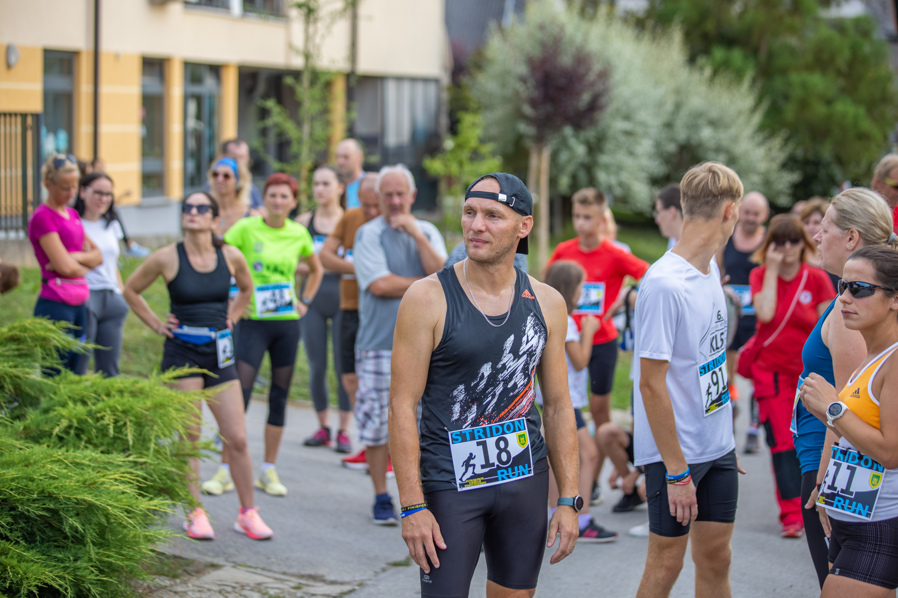 Image 5002764 (auto)