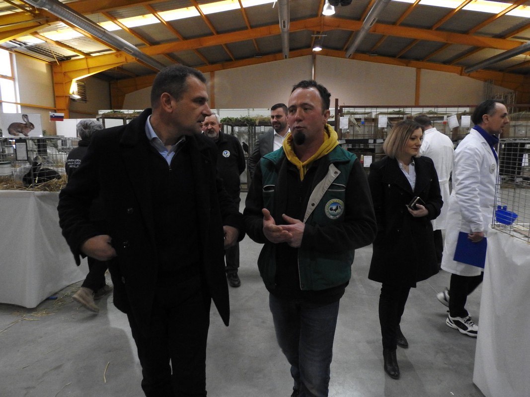 Izložba malih životinja, Mesap,