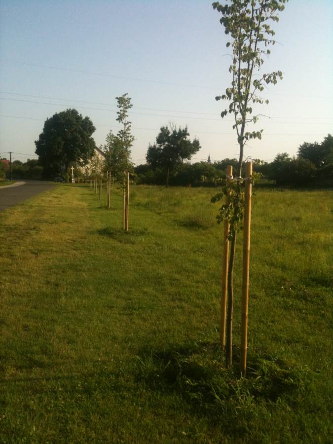 359015660011optimized320414