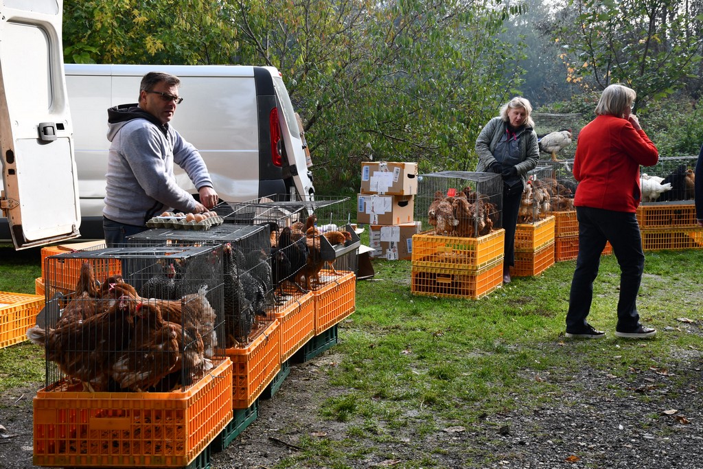 FOTO S dolaskom hladnijih dana povećan interes za kupnju drva za ogrjev