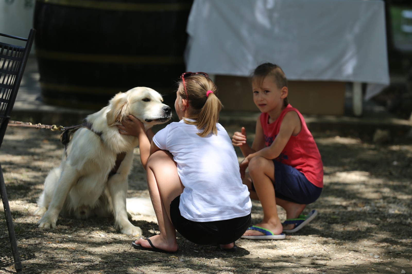 Klikom po Marini (26.6.2022.)