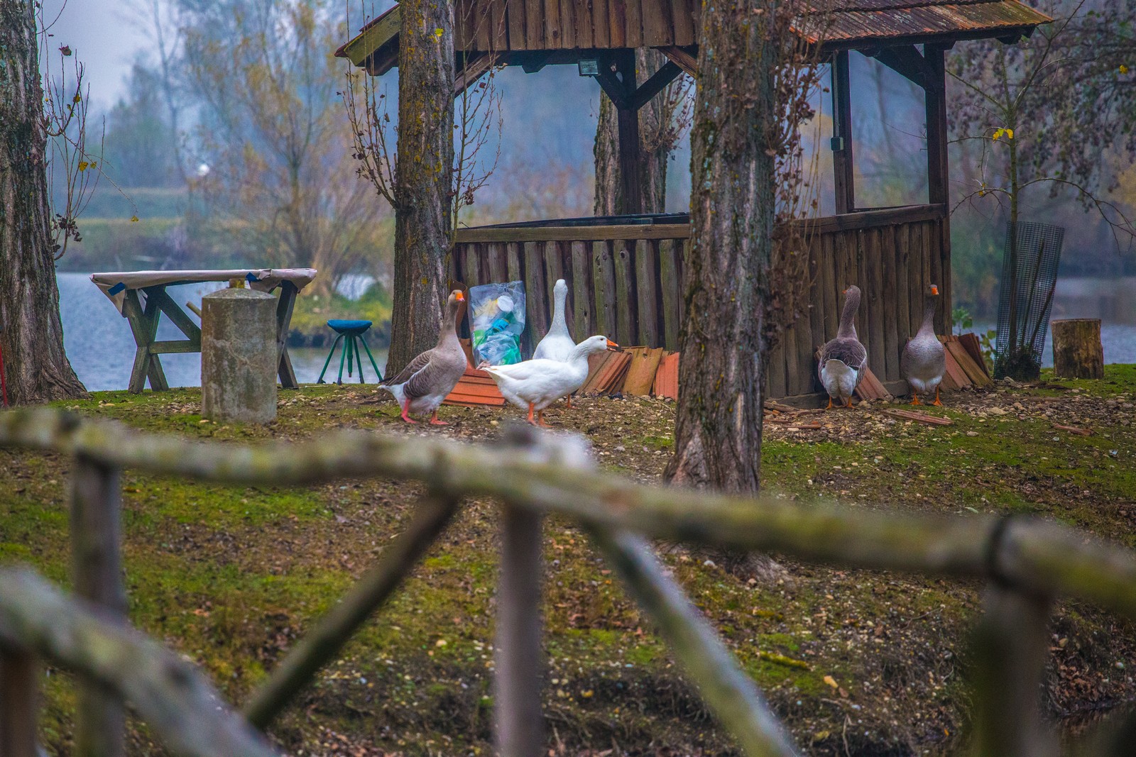 Međimurje se predalo jeseni