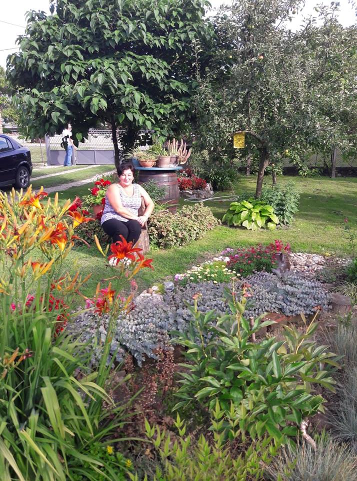 Dvorište obitelji Cenko