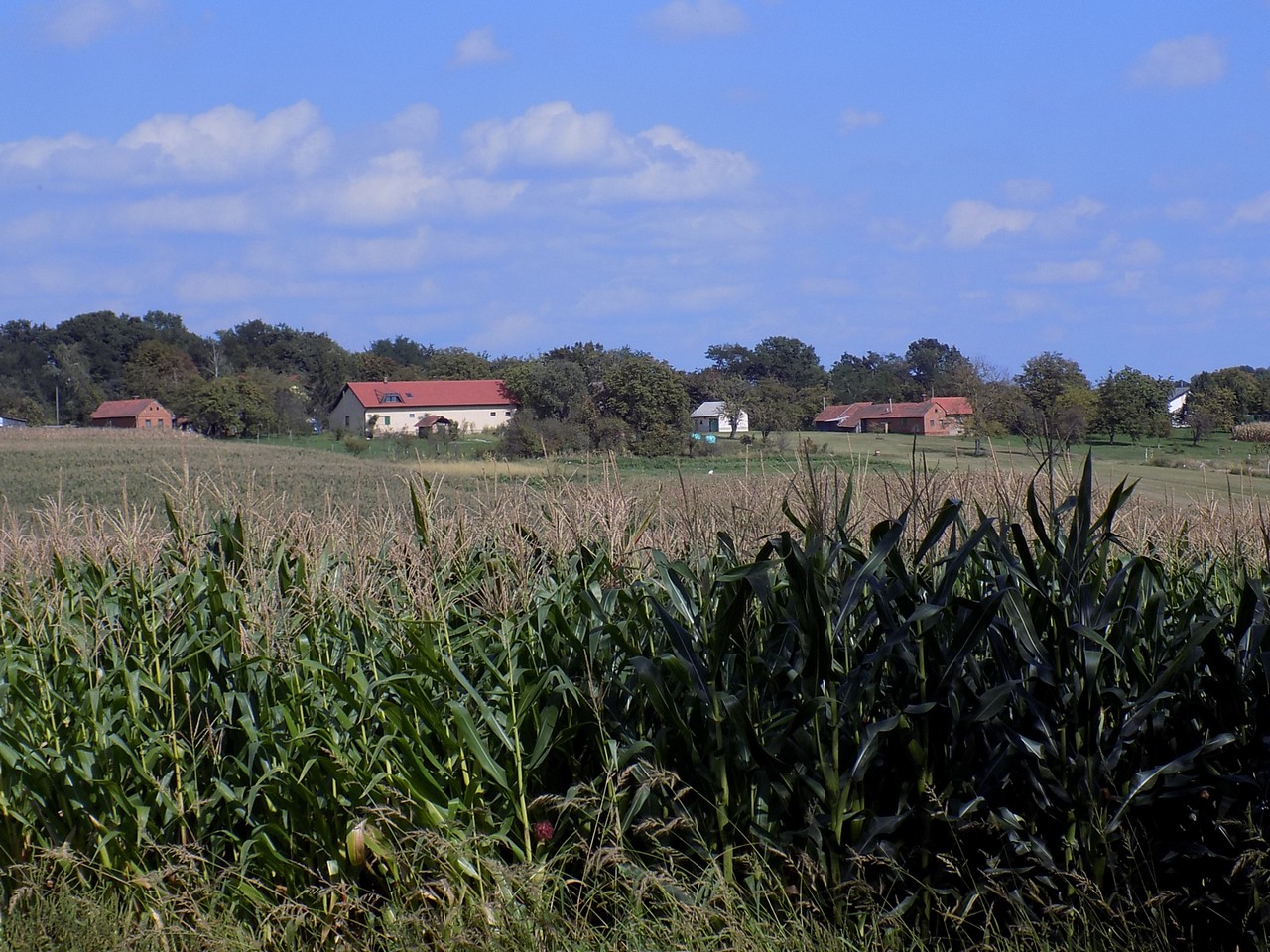Prekrasne scene u prirodi: Kasno ljeto u gornjem Međimurju