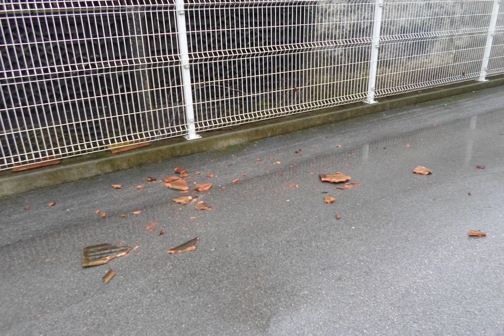 fotografija00020360393