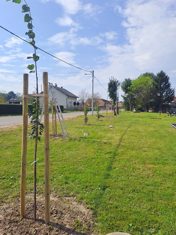 DONJI MIHALJEVEC Mještani ujedinjeni u sadnji drveća i bojanju igrala