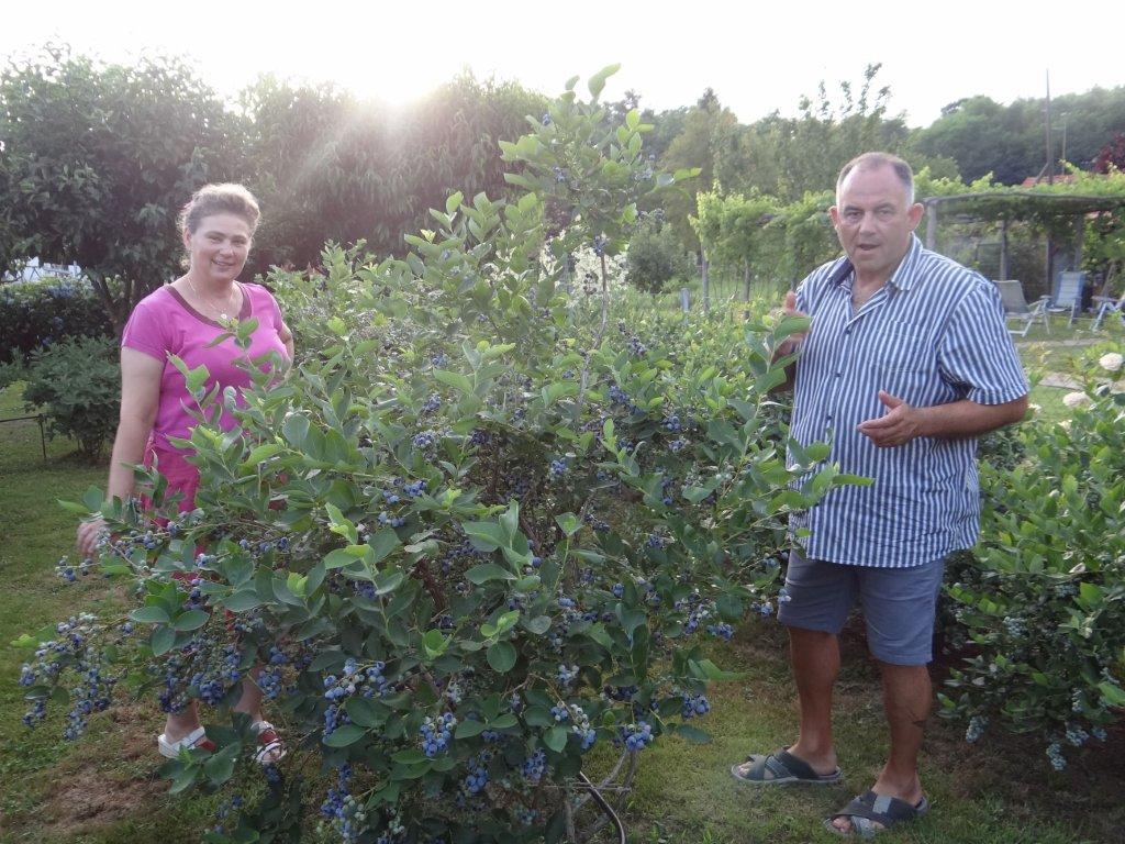 Biljno carstvo Vanje i Alena u Šenkovcu: Njihov vrt ‘Četiri godišnja doba’ mami poglede
