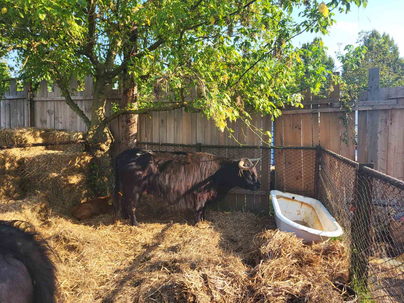 NA KOPRVNIČKIM BEDEMIMA Renesansni festival i ove godine privukao mnoštvo posjetitelja NA KOPRVNIČKIM BEDEMIMA Renesansni festival i ove godine privukao mnoštvo posjetitelja