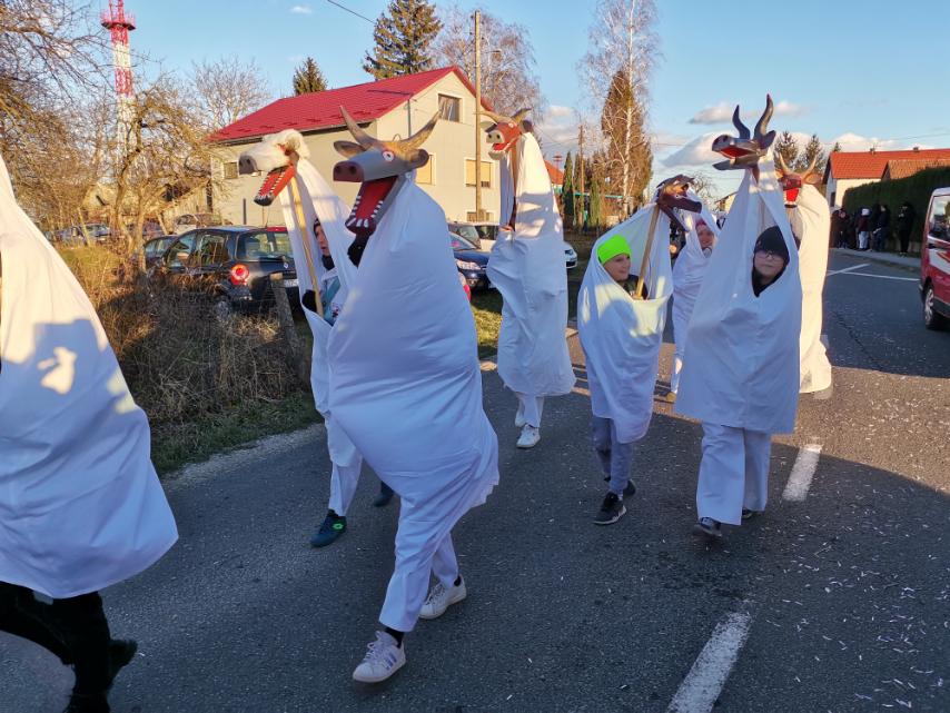 Fašnik u Zasadbregu