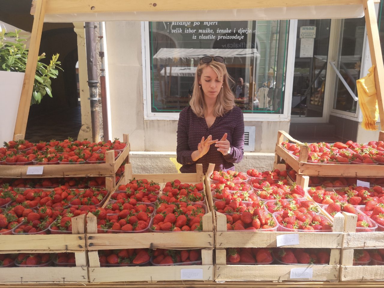 Festival cvijeća, jagoda i tradicije u Čakovcu