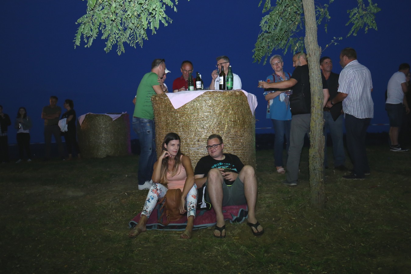 Odličan koncert Vatre u predivnom ambijentu Mađerkinog brega