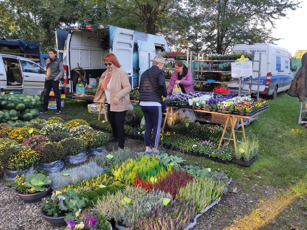 Čakovečki sajam srijedom (5.10.2022.)